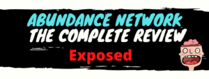 abundance network review