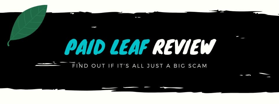 paidleaf review