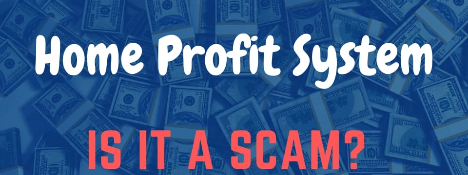 home profit system review