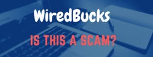 wiredbucks review