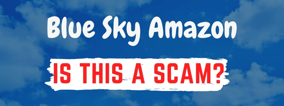 blue sky amazon review