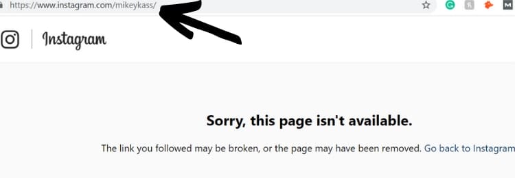 mikey kass deleted instagram page