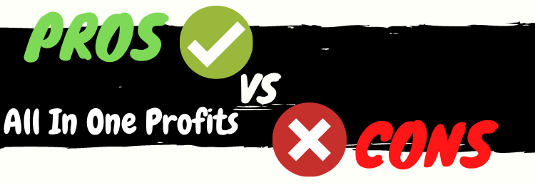 all in one profits review pros vs cons