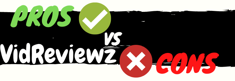 vidreviewz review pros vs cons