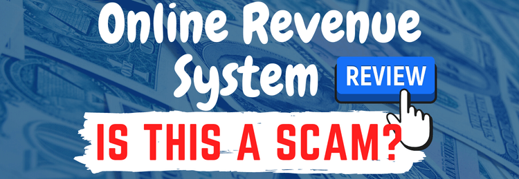 online revenue system review